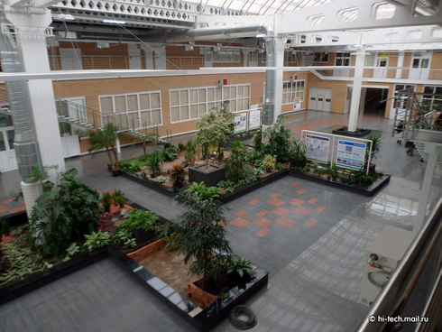 Intel в Новосибирске: облака и галактика